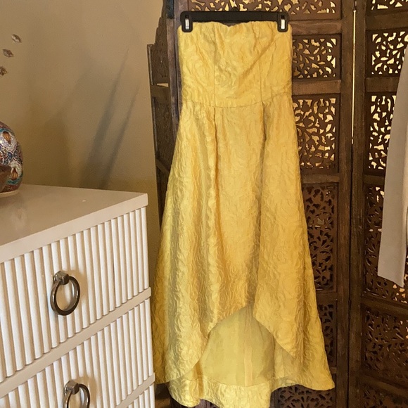 ML Monique Lhuillier Sunshine Day Gown (Size 4) - Picture 3 of 5